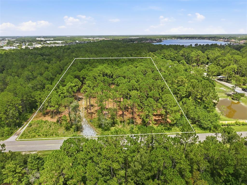 An aerial view shows a wooded, rectangular plot of land bordered by a paved road — 0 ALTAMONT LANE, ODESSA, FL