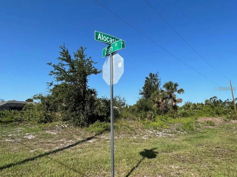 A street sign for Alocasia and Zorn stands in a grassy, undeveloped lot — 9124 ZORN STREET, PORT CHARLOTTE, FL