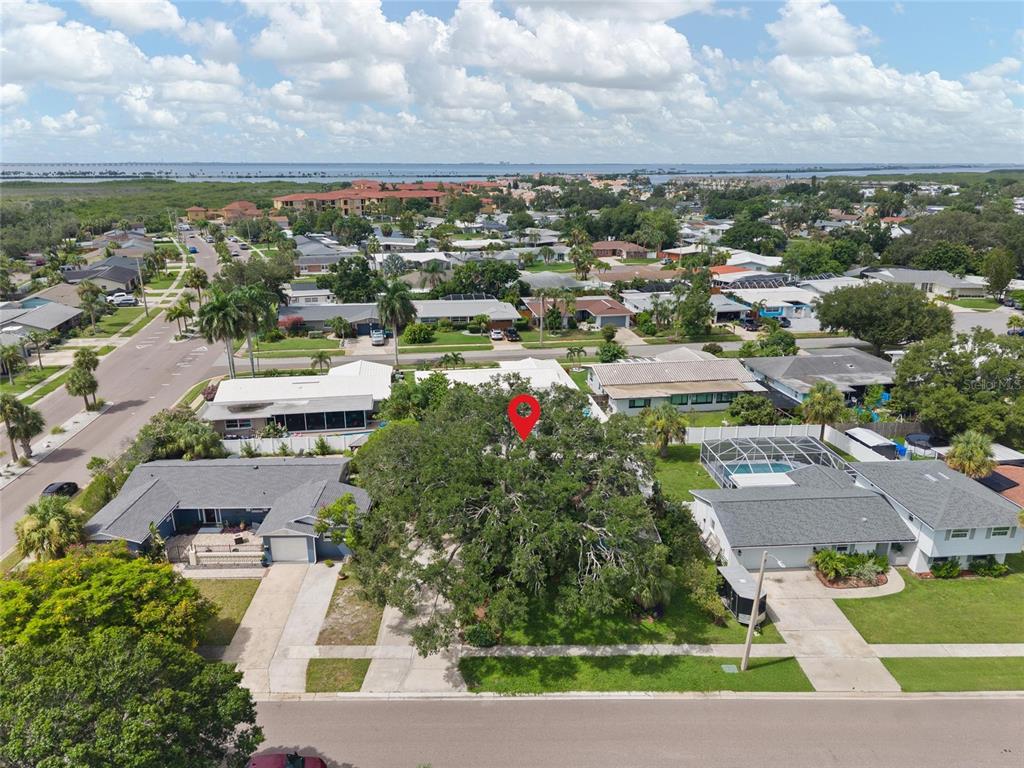 An aerial view of a residential neighborhood featuring a house shaded by a large tree — 8404 FLAGSTONE DRIVE, TAMPA, FL