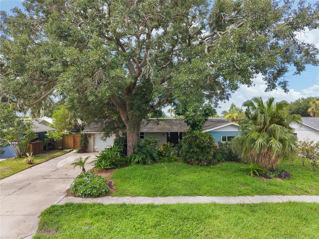 A single-story house with a large tree in the front yard and a concrete driveway — 8404 FLAGSTONE DRIVE, TAMPA, FL