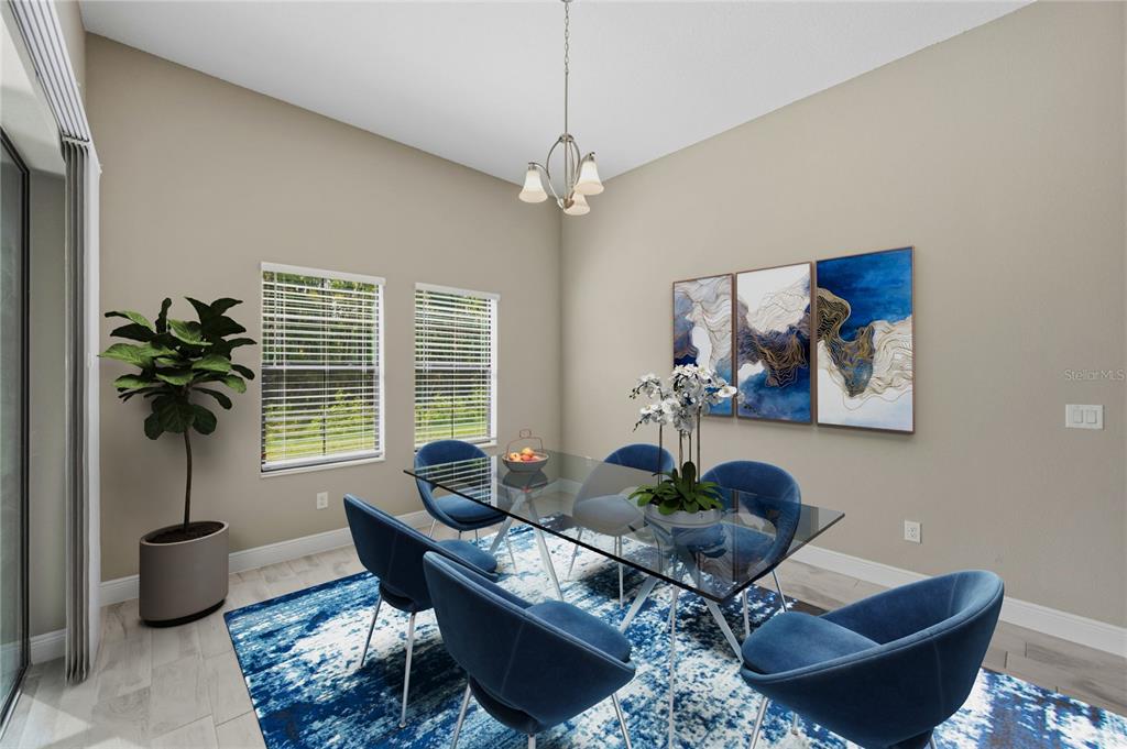 A dining room features a glass table, blue velvet chairs, a patterned rug, and wall art — 14519 WOODLAND SPUR DRIVE, LITHIA, FL