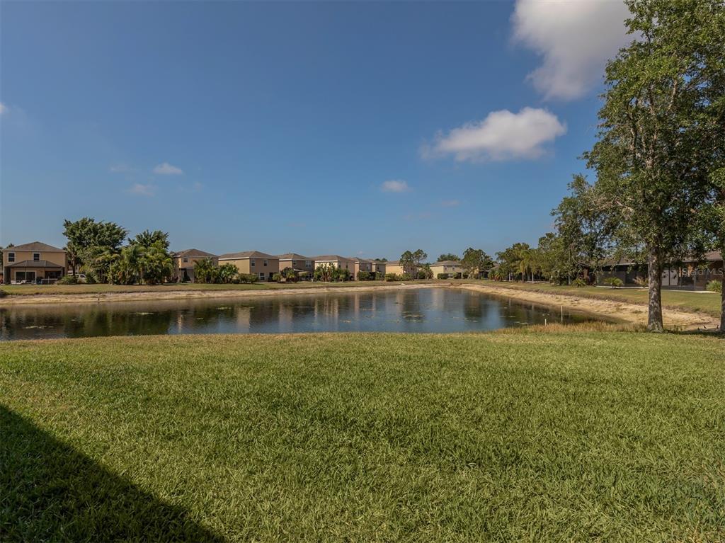 A grassy lawn overlooks a pond with residential houses in the background under a blue sky — 12905 TIGERS EYE DRIVE, VENICE, FL