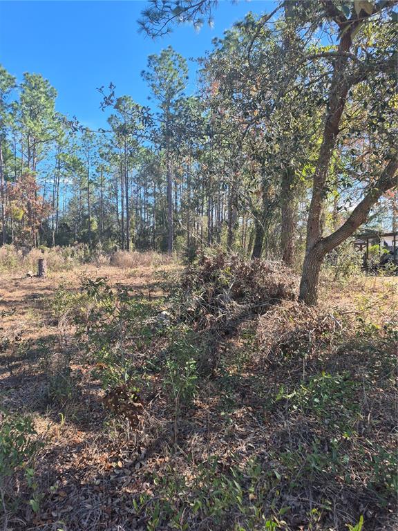SE 87 TER, BELLEVIEW, FL — photo 3 of 4