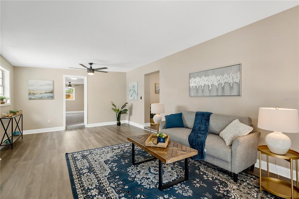 A living room features gray wood-look flooring, a blue patterned rug, and a gray sofa — 3903 W PALMETTO STREET, TAMPA, FL
