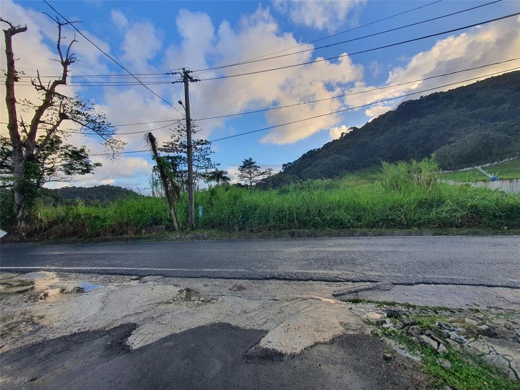 CARR 191, NAGUABO, PR — photo 2 of 3
