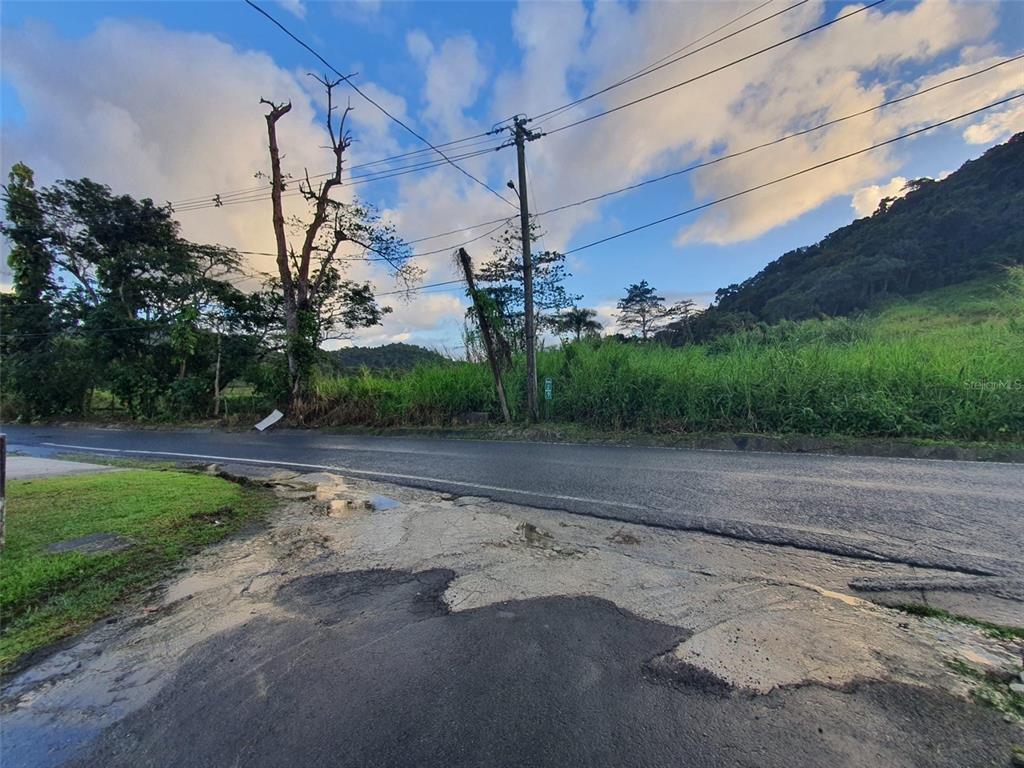 CARR 191, NAGUABO, PR — photo 3 of 3