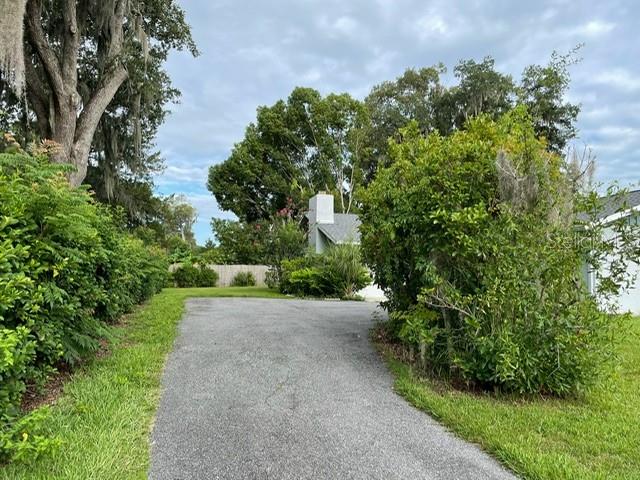 A paved driveway leads toward a house partially obscured by large trees and bushes — 2190 SE 39TH STREET, OCALA, FL