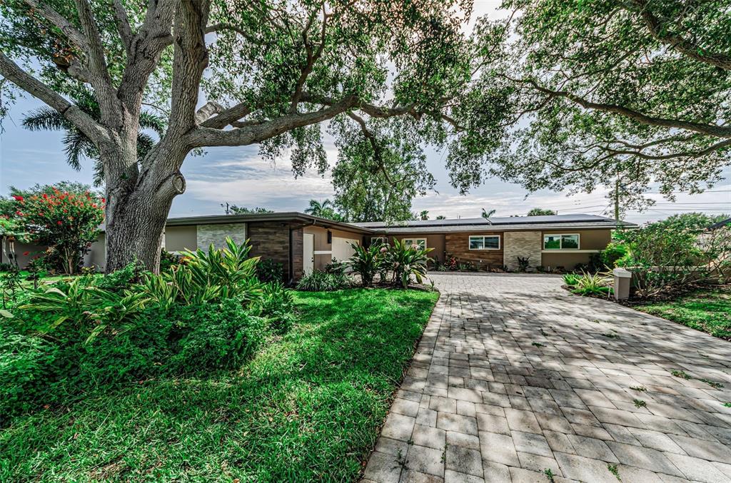 A single-story house with a paved driveway, stone accents, and a large tree in front — 861 RAFAEL BOULEVARD NE, ST PETERSBURG, FL