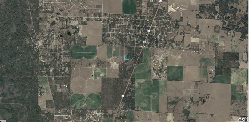 An aerial view shows a vacant, grassy lot bordered by a road and dense trees — SE 136TH TERRACE, MORRISTON, FL