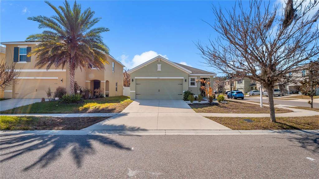 A two-story tan house and a one-story light green house sit side-by-side on a street — 3503 DIAMOND LEAF COURT, VALRICO, FL