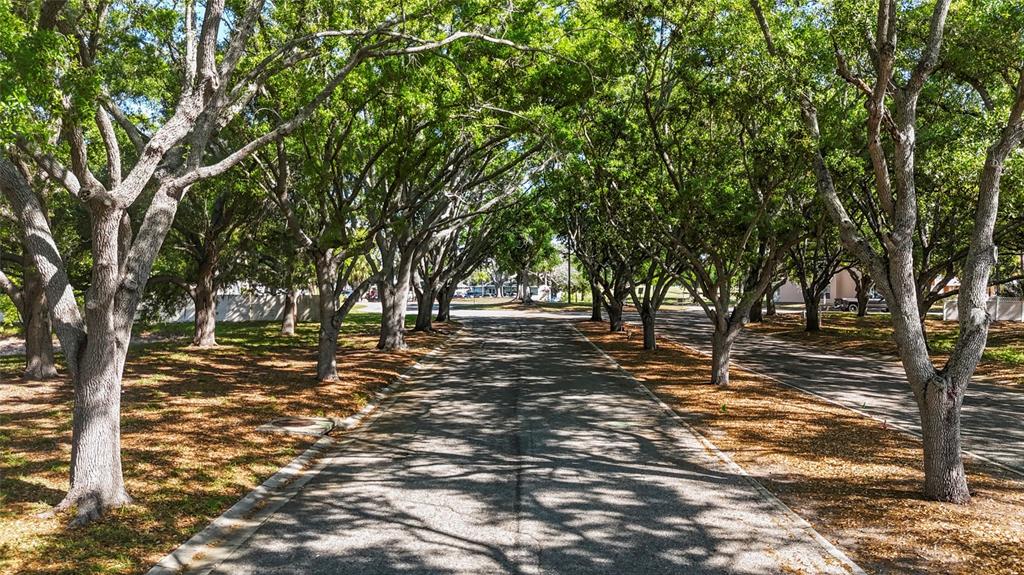 A paved road is lined with mature trees creating a canopy over the street — 4210 IRONWOOD CIRCLE UNIT 308J, BRADENTON, FL