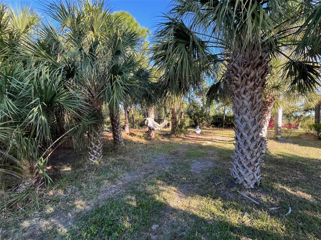 A grassy yard features several tall palm trees and a hammock strung between them — 8410 TOPEKA CIRCLE, PORT CHARLOTTE, FL