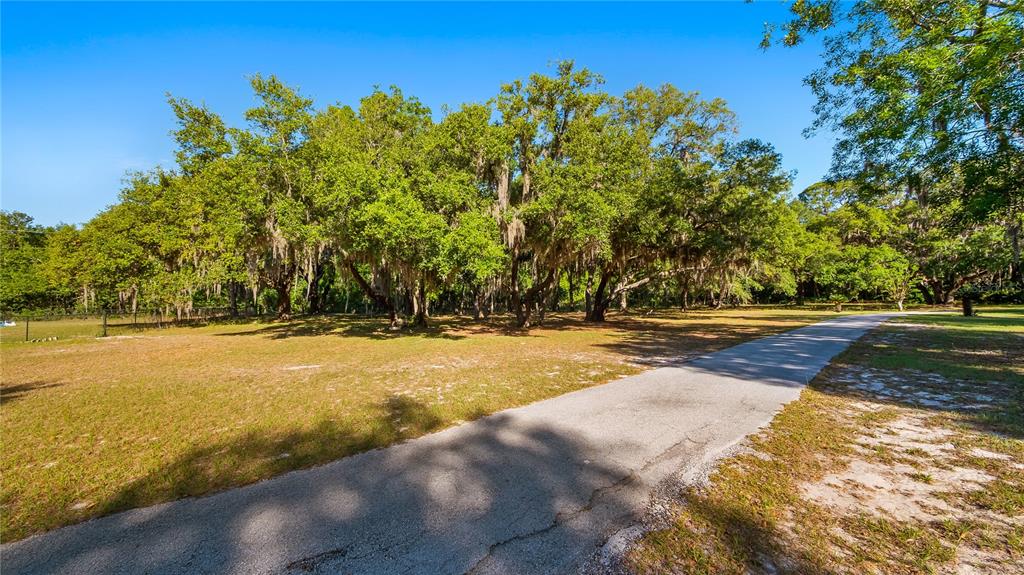 A paved driveway leads toward a cluster of large oak trees on a grassy lot — LEGACY WOODS, GROVELAND, FL