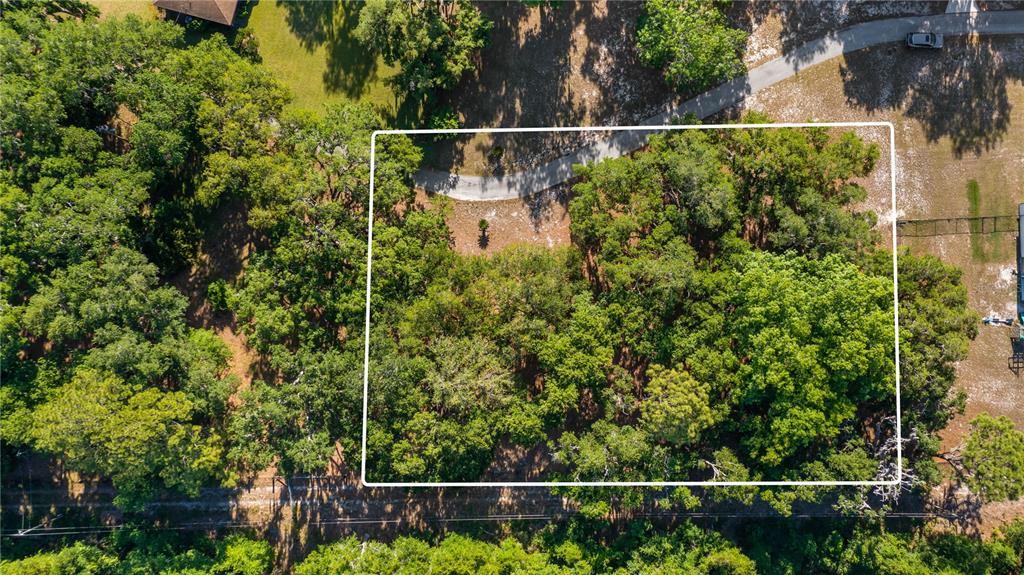 An aerial view shows a rectangular, tree-covered vacant lot bordered by a road and fence — LEGACY WOODS, GROVELAND, FL
