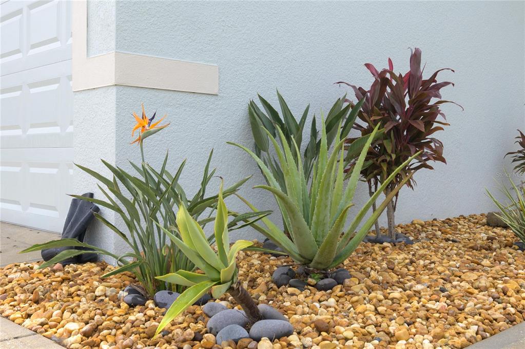 A garden bed with various plants and rocks sits against the side of a house — 3843 ELOISE ESTATES COURT, WINTER HAVEN, FL