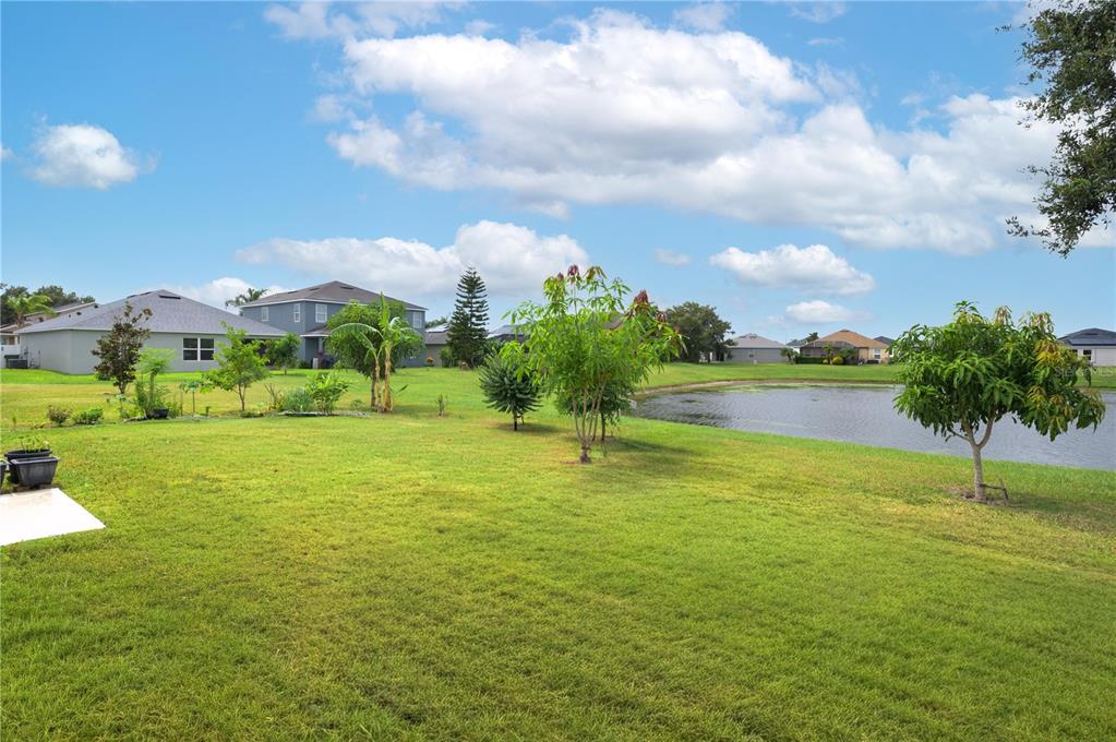 A grassy backyard features several small trees, a pond, and neighboring houses under a blue sky — 3843 ELOISE ESTATES COURT, WINTER HAVEN, FL