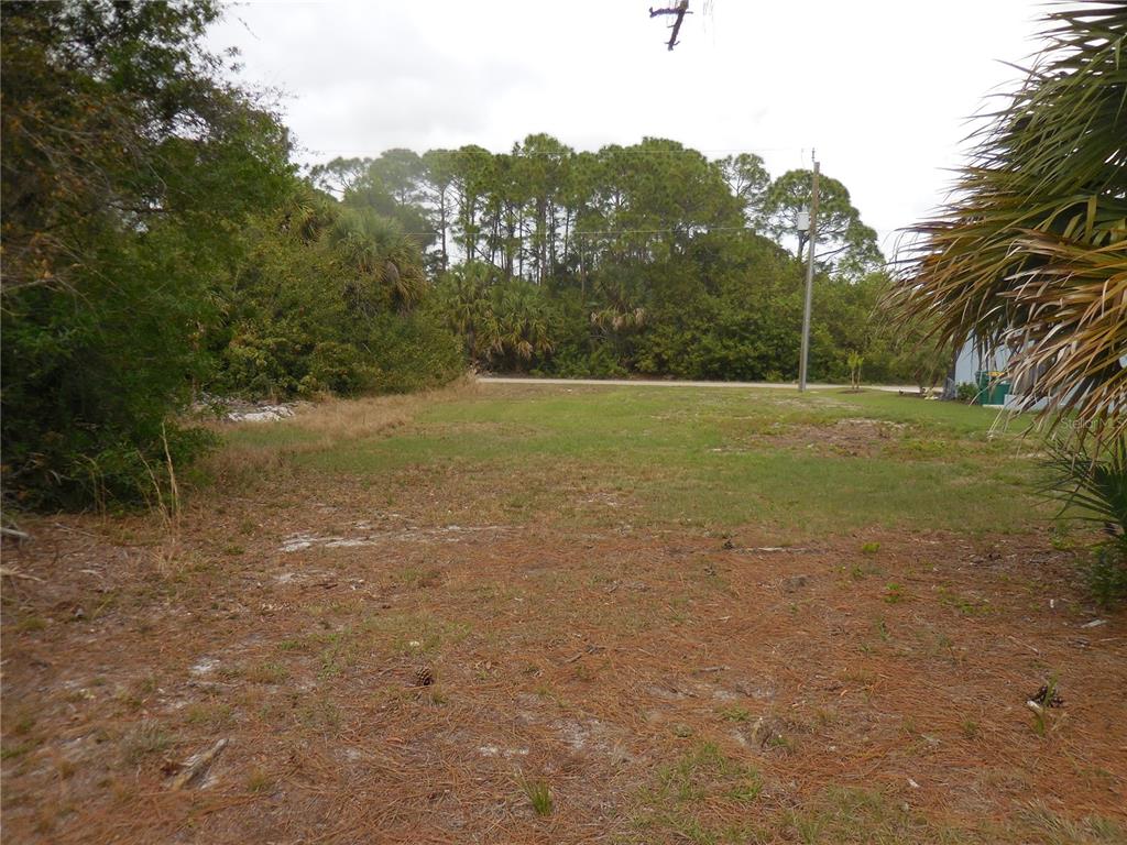A vacant, grassy residential lot is surrounded by trees and brush under a cloudy sky — 223 JENNIFER DRIVE, ROTONDA WEST, FL