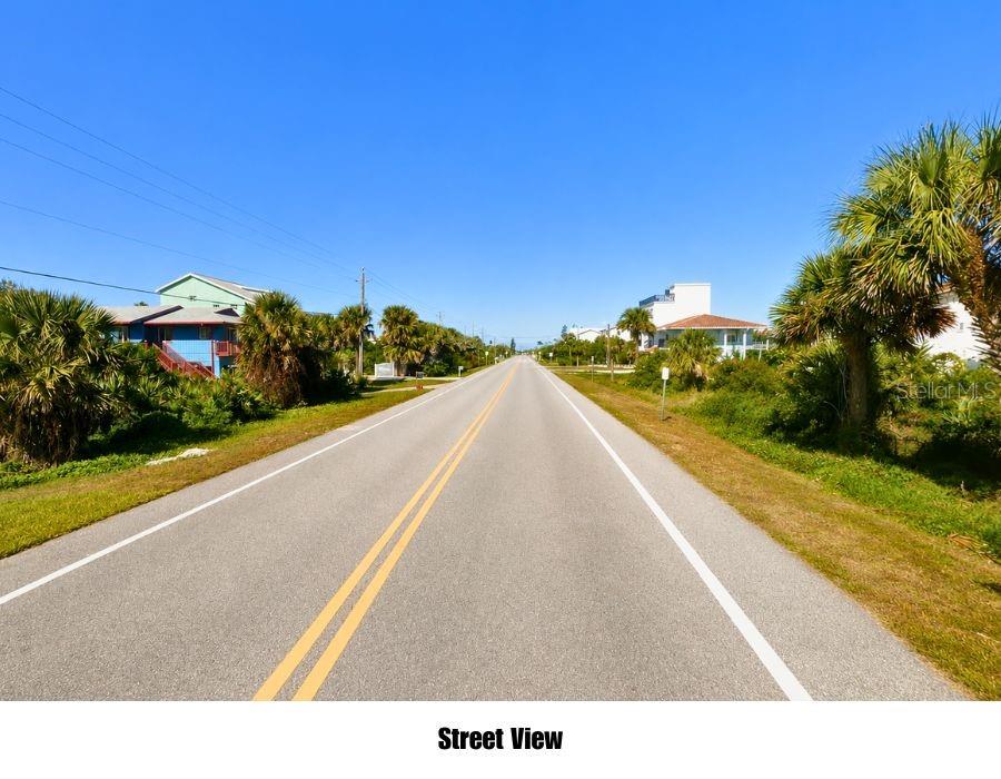 A paved road stretches into the distance between coastal vegetation and residential houses — TURTLEMOUND ROAD, NEW SMYRNA BEACH, FL