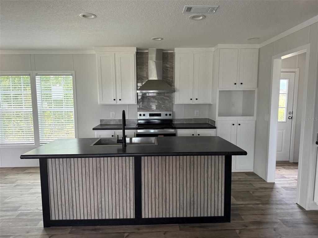 A kitchen features a large island, white cabinets, stainless steel appliances, and wood-look flooring — 20263 NW 304TH STREET, OKEECHOBEE, FL