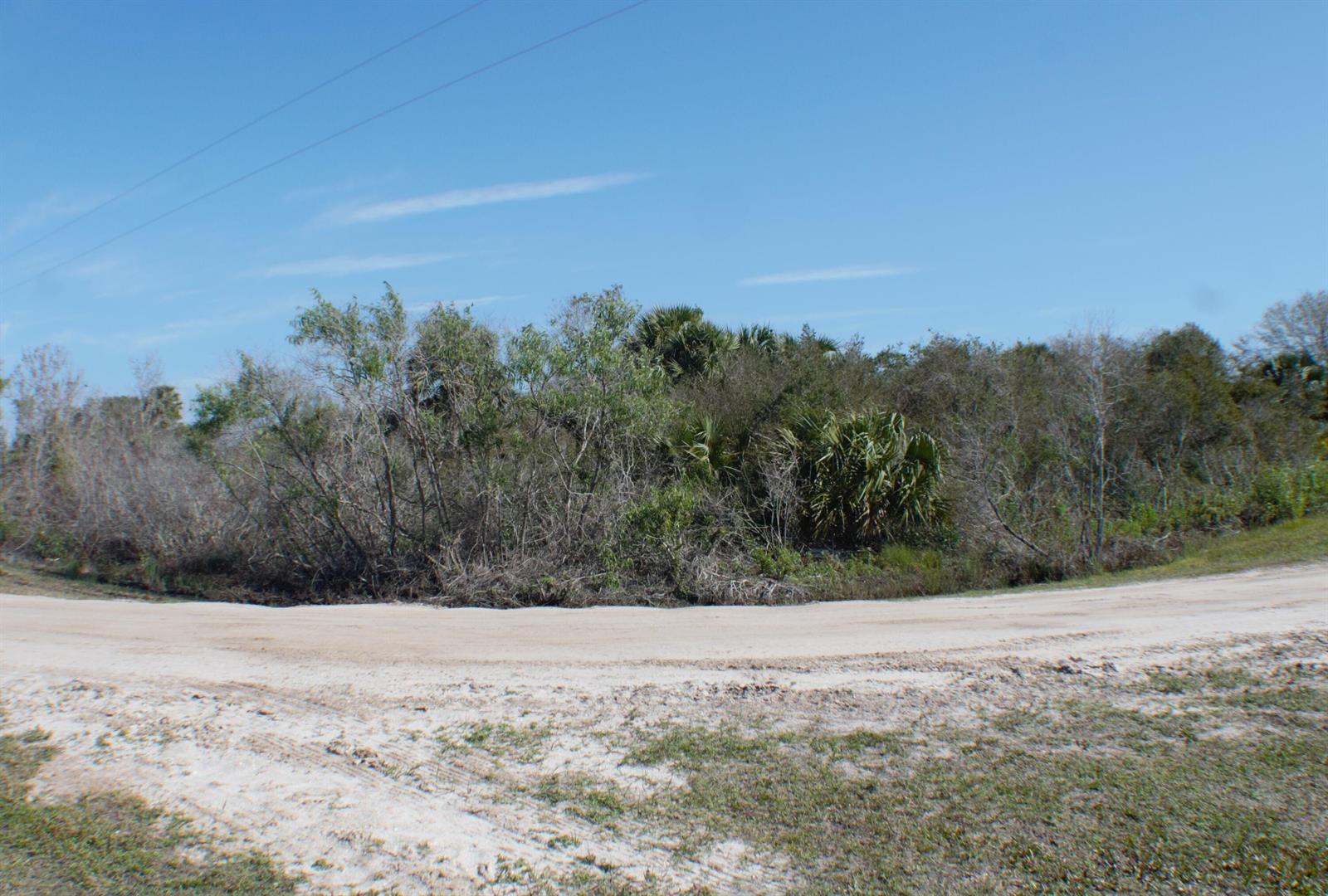 A dirt road curves in front of a dense thicket of trees and palmetto bushes — 18781 NW 270th Street, Okeechobee FL 34972, OKEECHOBEE, FL