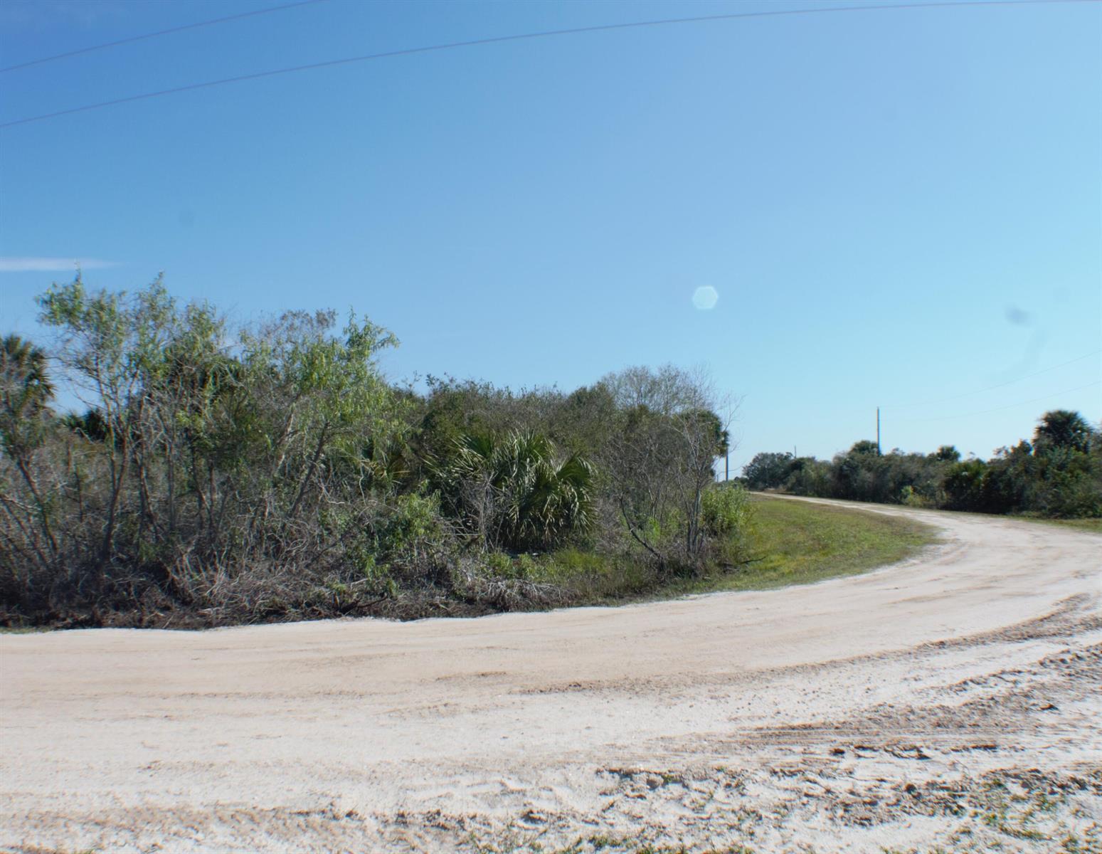 A dirt road curves past a patch of dense vegetation and palm trees under a sky — 18781 NW 270th Street, Okeechobee FL 34972, OKEECHOBEE, FL