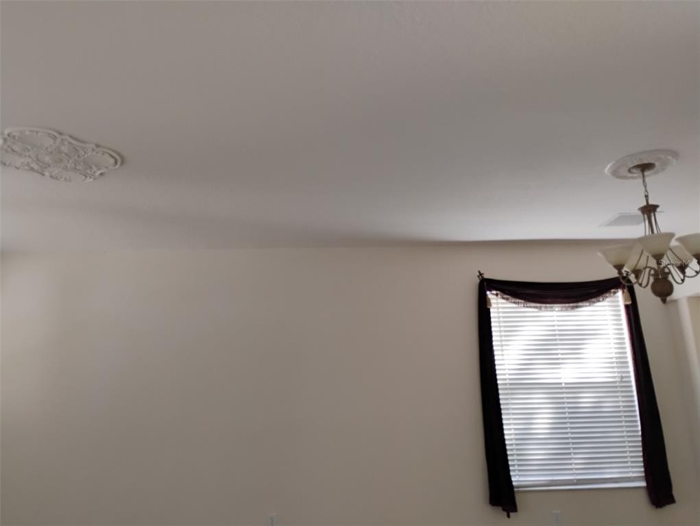 A room features a plain wall, a window with dark curtains, and two ceiling medallions — 10415 LUCAYA DRIVE, TAMPA, FL