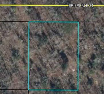 This is an aerial map view of a rectangular, wooded plot of land — Lot 3 BRIERDALE STREET, CHIPLEY, FL