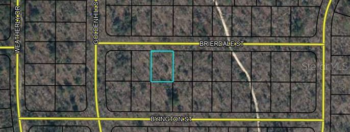 This is a satellite map showing a highlighted rectangular plot of land between two streets — Lot 3 BRIERDALE STREET, CHIPLEY, FL