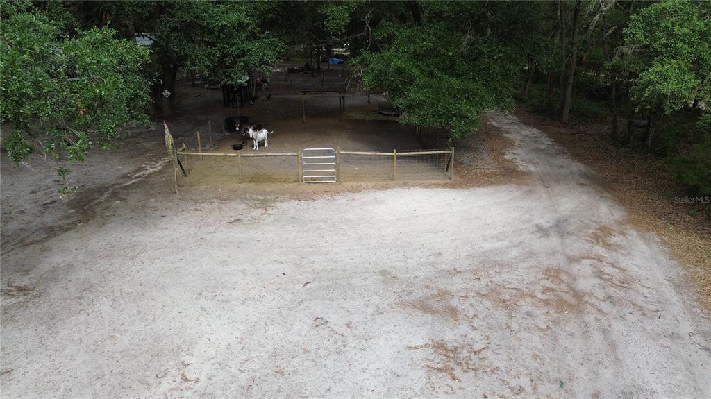 An aerial view shows a fenced animal enclosure with two donkeys on a sandy lot — 17120 SE 130TH AVENUE, WEIRSDALE, FL