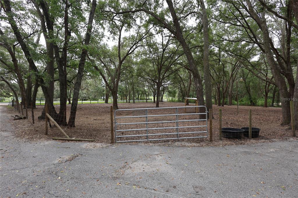A metal gate opens into a fenced, wooded lot with two black troughs — 17120 SE 130TH AVENUE, WEIRSDALE, FL