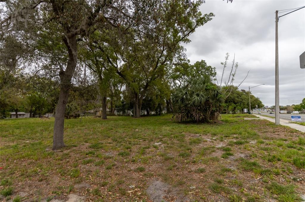 A vacant, grassy lot with several large trees and a palm bush along a road — 105 N KIRKMAN RD, ORLANDO, FL