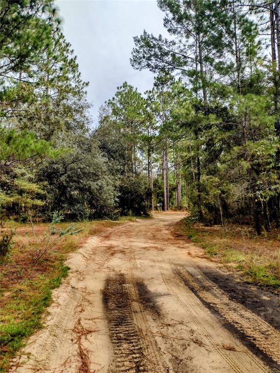 171 7TH WAY, INTERLACHEN, FL — photo 2 of 8