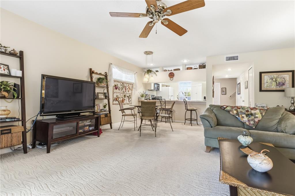 A living room with a television, dining area, and kitchen counter in an open layout — 9034 LAKE PLACE LANE UNIT 9034, TAMPA, FL