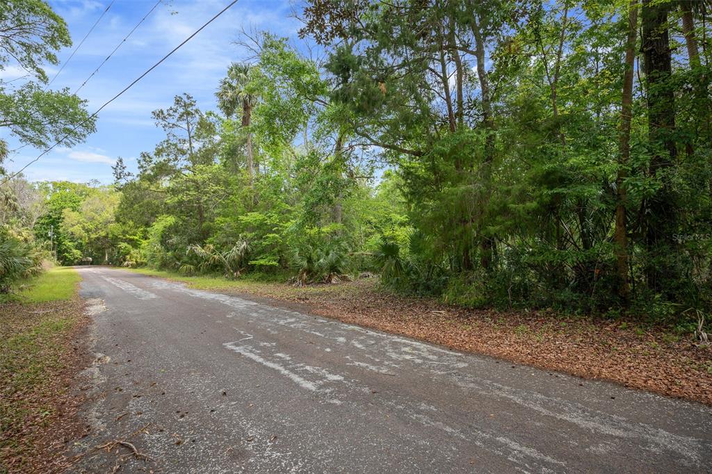 A paved road runs alongside a dense, wooded lot under a blue sky — 5043 S PALO VERDE POINT, HOMOSASSA, FL