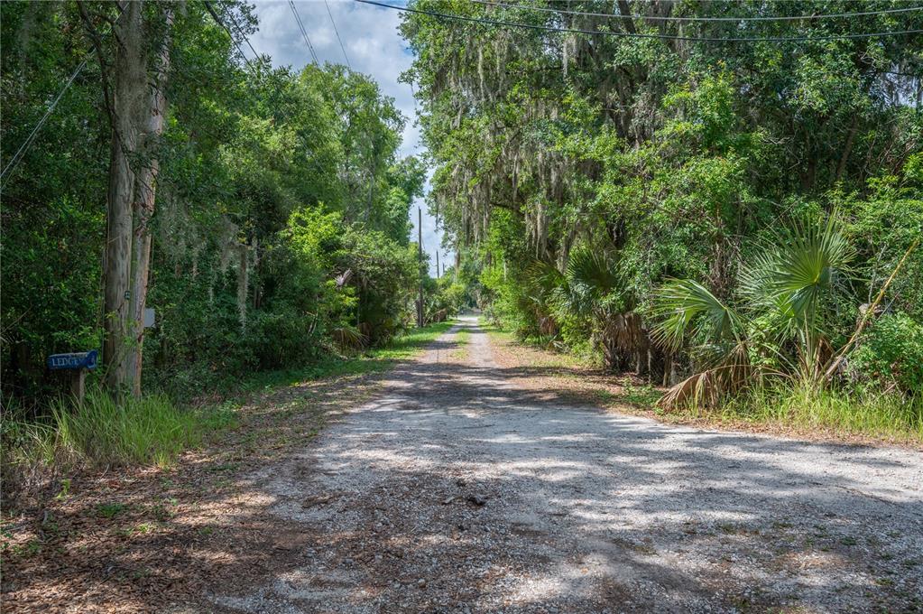 A gravel road leads through a lush, tree-lined area with hanging Spanish moss — 2008 OLD DIXIE HIGHWAY, AUBURNDALE, FL