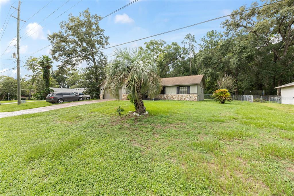 A single-story house with a stone facade and a palm tree in the front yard — 3475 NE 43RD PLACE, OCALA, FL
