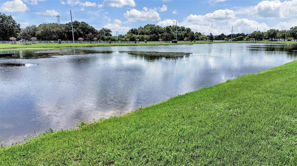 A grassy bank slopes down to a large pond under a blue, cloudy sky — 11908 FERN BLOSSOM DRIVE, GIBSONTON, FL