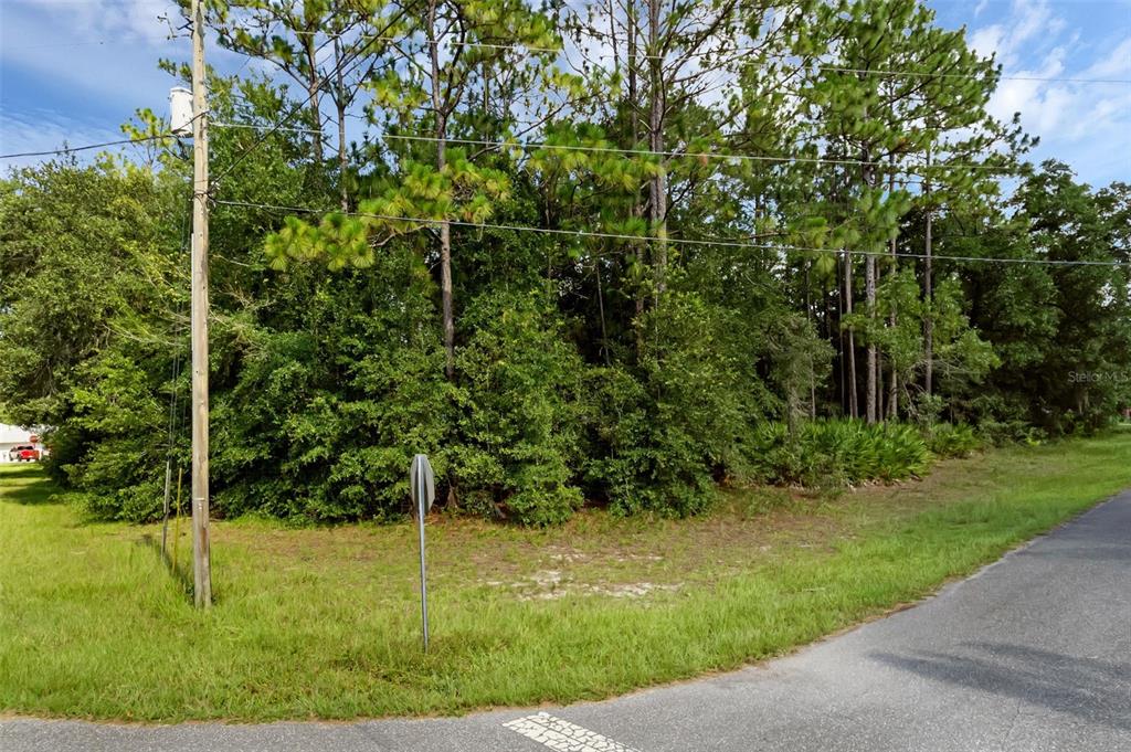 6745 N NANTUCKET WAY, DUNNELLON, FL — photo 3 of 7