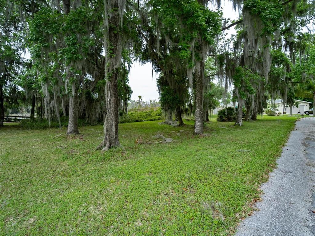 A grassy, tree-filled lot with Spanish moss sits beside a paved road — LOT 30 BLK C OXFORD COURT, WILDWOOD, FL