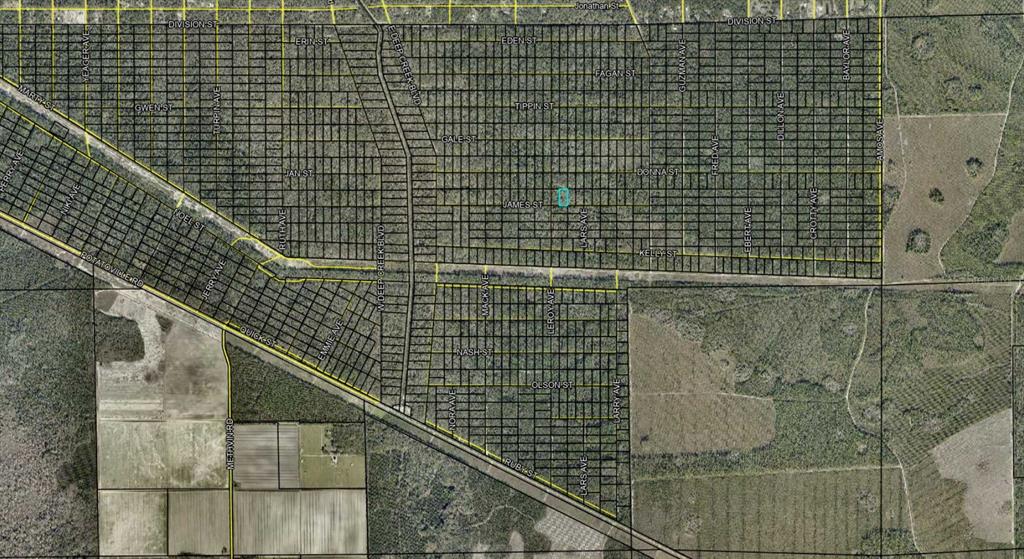 This is a map showing a grid of residential streets and land parcels — JAMES STREET, HASTINGS, FL