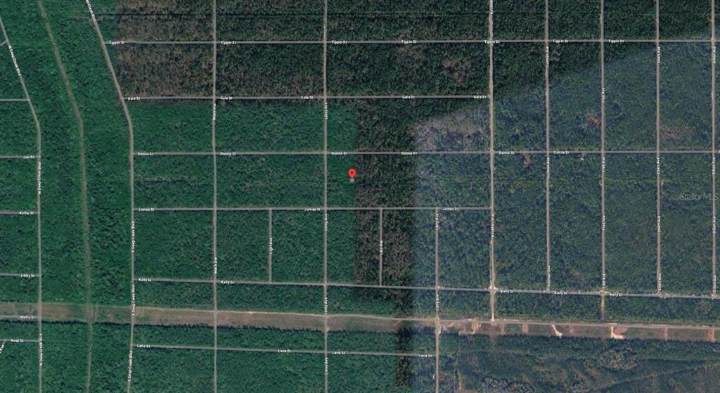 This is an aerial map view of a wooded, undeveloped residential lot — JAMES STREET, HASTINGS, FL