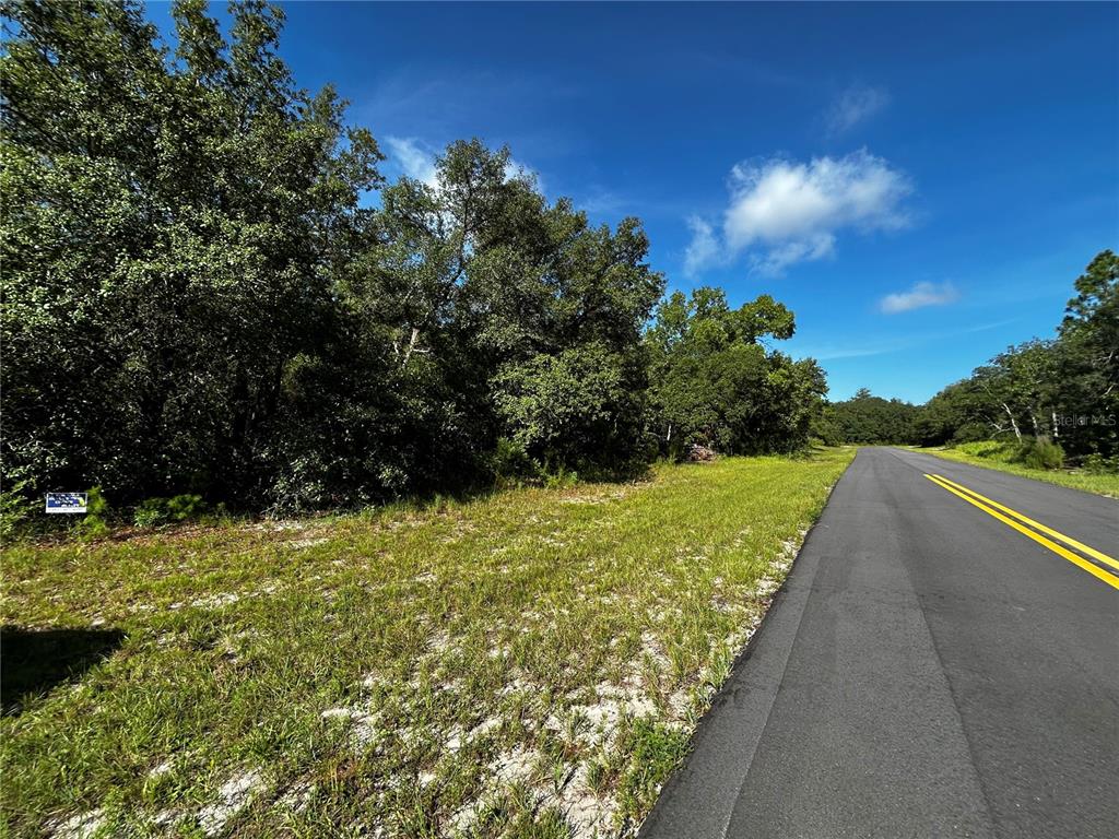 A paved road runs alongside a grassy, wooded lot under a blue sky — SW 148TH PL ROAD, OCALA, FL