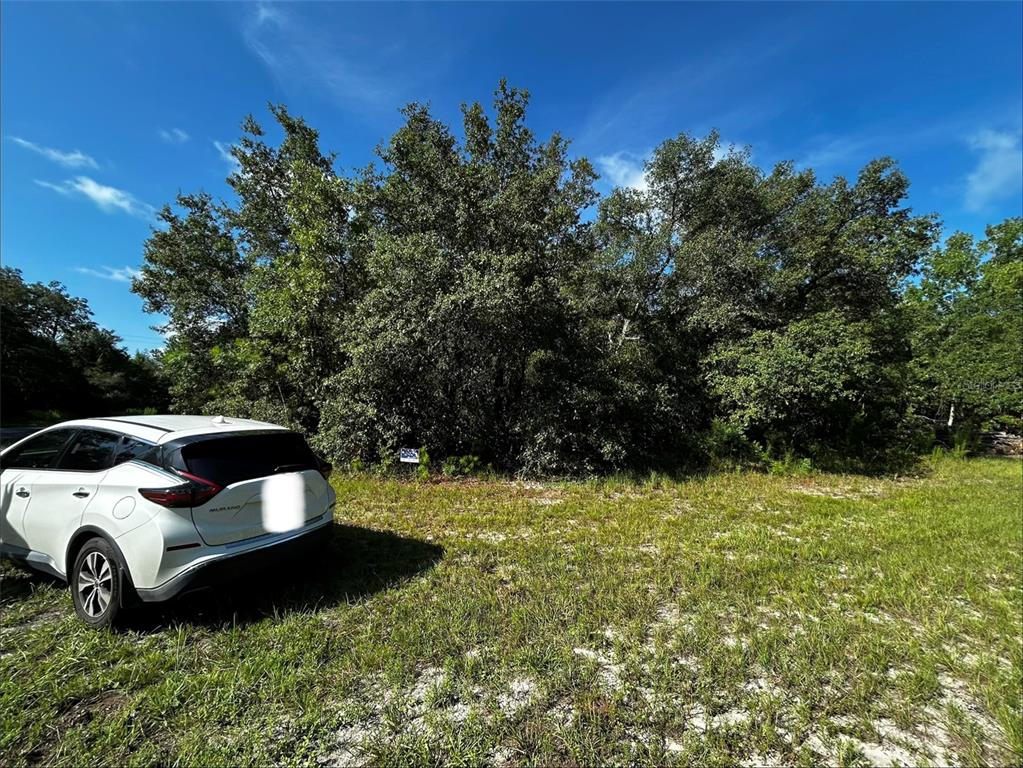 A white SUV is parked on a grassy lot in front of a dense tree line — SW 148TH PL ROAD, OCALA, FL