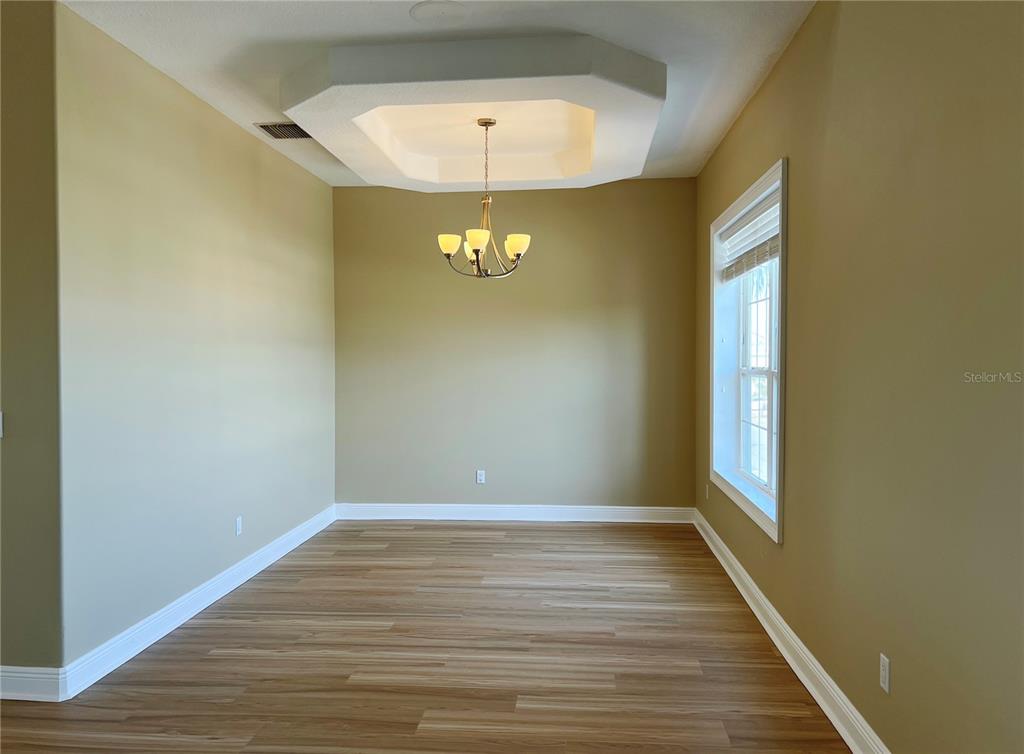 An empty dining room features light wood flooring, tan walls, and a recessed tray ceiling — 13737 VICTOR AVENUE, HUDSON, FL