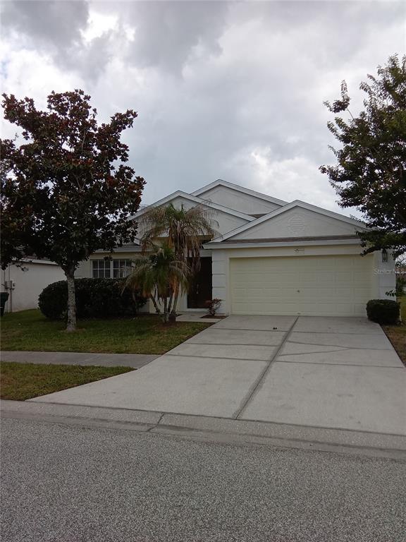 A single-story house with a two-car garage, a concrete driveway, and a palm tree — 7733 OUTERBRIDGE STREET, WESLEY CHAPEL, FL