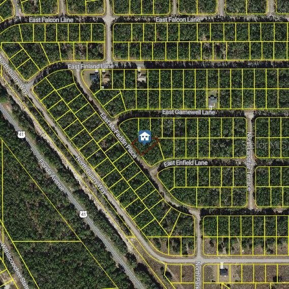 This is an aerial map showing a highlighted residential lot located at a street intersection — 198 E MCFADDIN PLACE, DUNNELLON, FL
