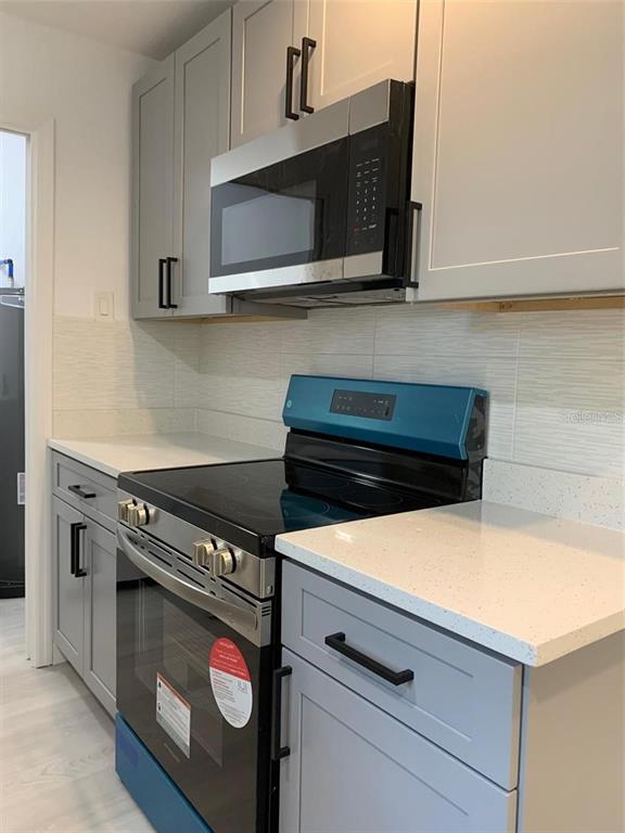 A kitchen features gray cabinets, stainless steel appliances, and white quartz countertops — 183 E GRAND BEND AVENUE, LAKE MARY, FL