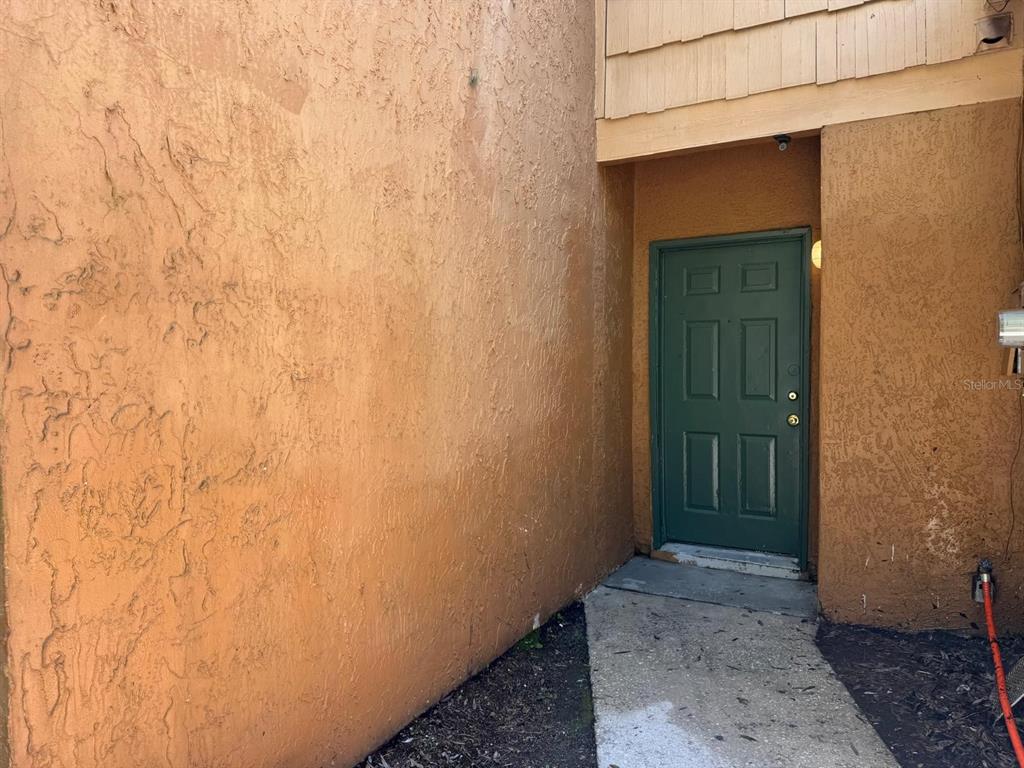A green front door is set into a stucco wall at the end of a walkway — 6918 TROUT STREET, TAMPA, FL