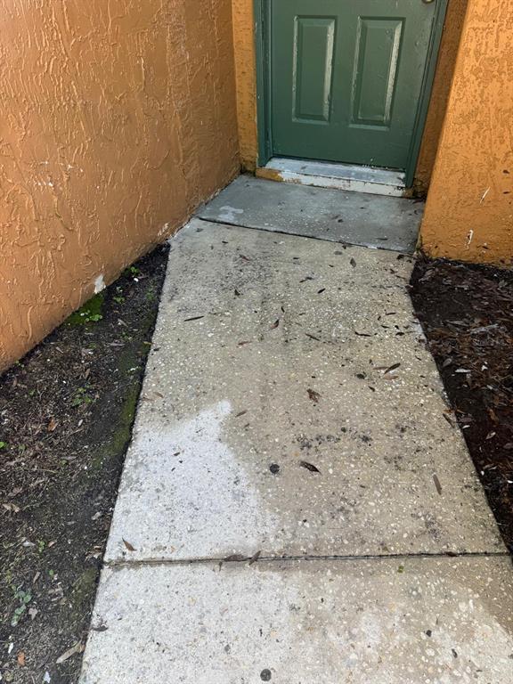 A concrete walkway leads to a green exterior door set against an orange stucco wall — 6918 TROUT STREET, TAMPA, FL