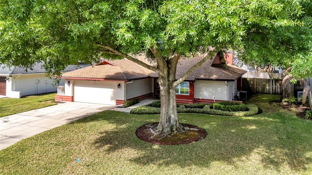 6259 BUTTERNUT DRIVE